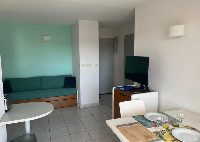 Primavera Agreable T2 Avec Piscine Richelieu Cap D'agde 阿格德